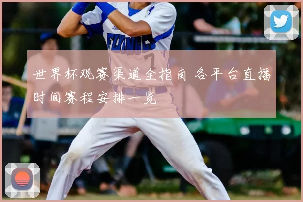 世界杯观赛渠道全指南 各平台直播时间赛程安排一览