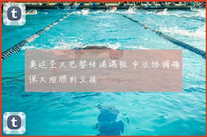 奥运圣火巴黎传递遇阻 中法协调确保火炬顺利交接